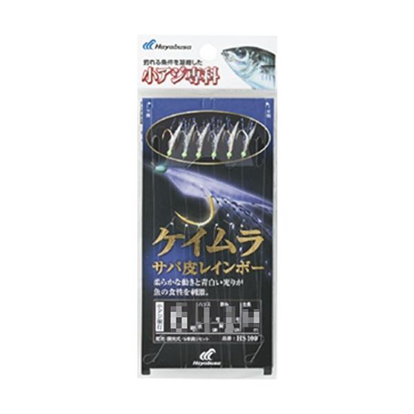 nuT(Hayabusa) HS100 AW PCTo烌C{[   9-2