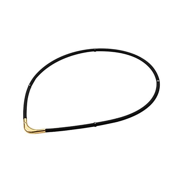 phiten(ファイテン) ネックレス RAKUWA磁気チタンネックレスS-|| ブラック/ゴールド 45cm