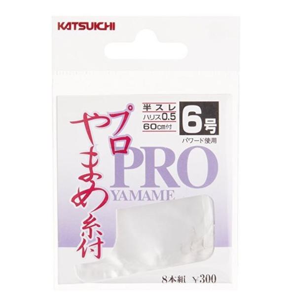 JcC`(KATSUICHI) v܂ t   6-0.5