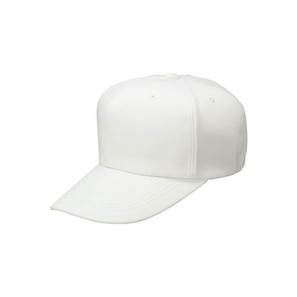 ZETT([bg) 싅p Xq KpLbv t[TCY Z BH112 zCg(1100) FREE