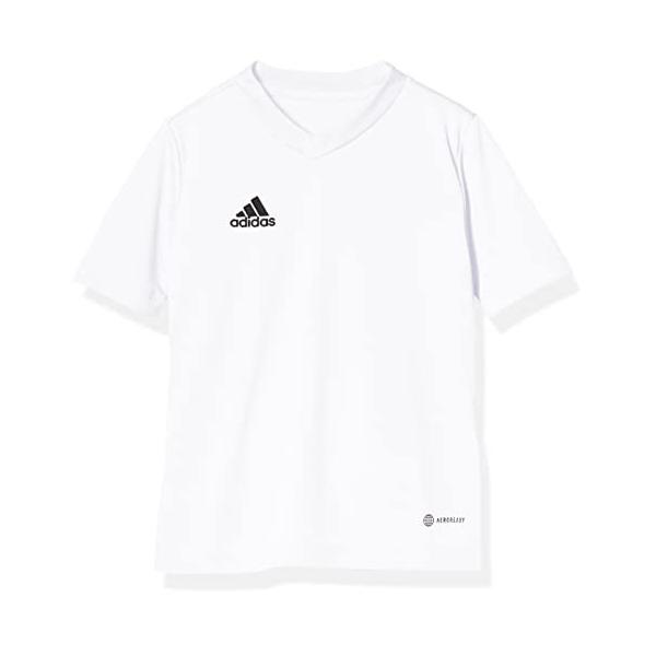 [AfB_X] TbJ[  TVc LbY Entrada 22 W[W[ MBE20 zCg(HC5054) J130