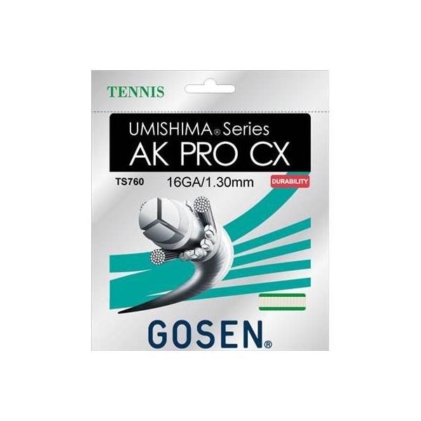 S[Z ejXKbg TS760 E~V}AKPROCX16 NA S[Z / GOSEN i`(NA)