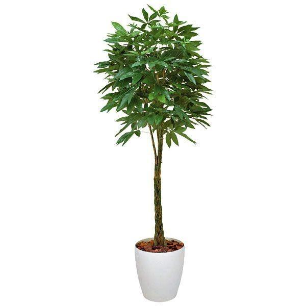 パキラ 2本幹　光触媒　フェイクグリーン観葉植物　大型 光触媒 観葉植物 フェイクグリーン 人工観葉植物 大型
