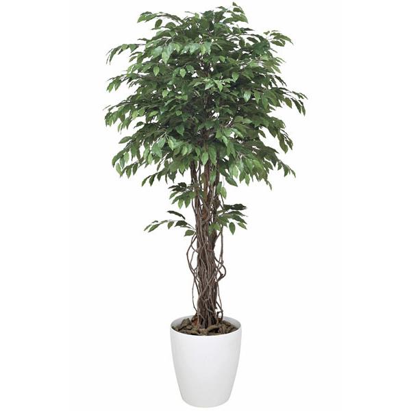 大型光触媒人工観葉植物ベンジャミンリアナ1.8mのポイント解説