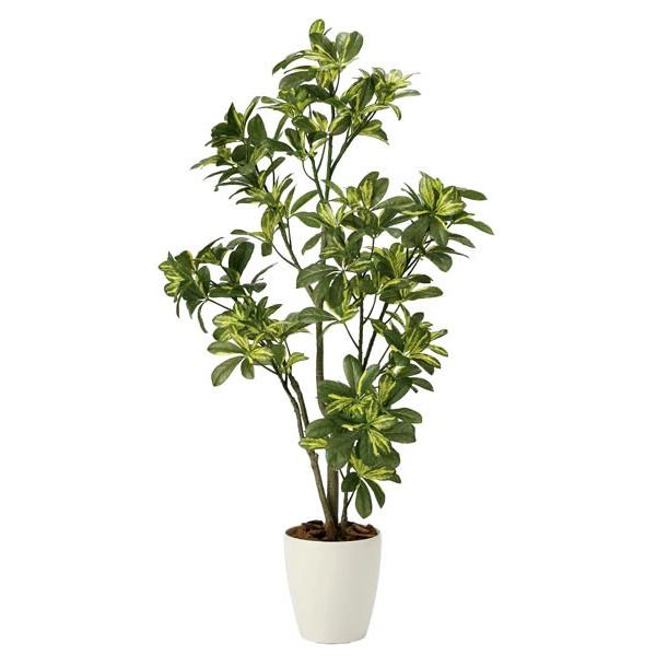 光触媒人工観葉植物 光の楽園 シェフレラ 1 15m 新商品 27a180 49 光の楽園ショップ モントブレッテ 通販 Yahoo ショッピング
