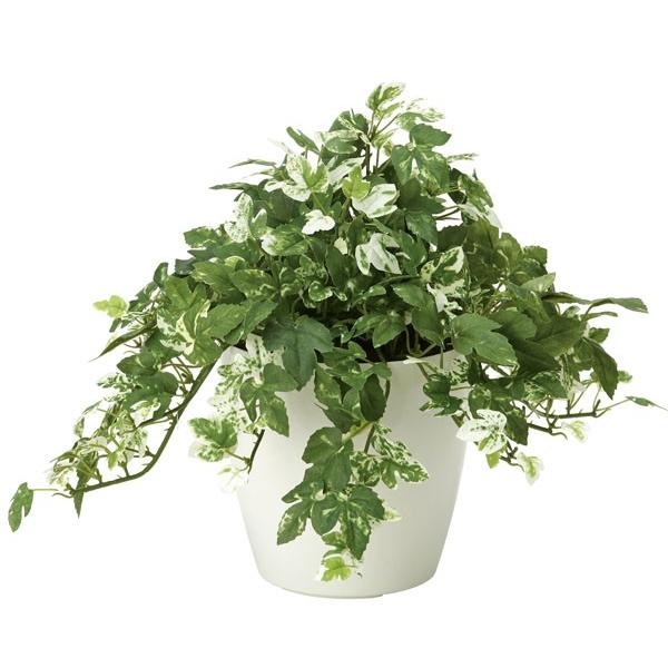 光触媒観葉植物テーブルタイプ 人工植物 アンペロシスアイビー 37a60 59 光の楽園ショップ モントブレッテ 通販 Yahoo ショッピング