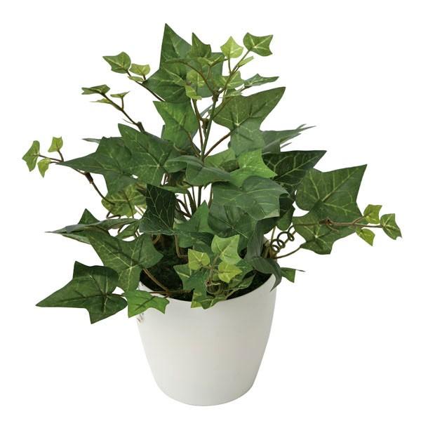 光触媒観葉植物テーブルタイプ 人工植物 アイビー 新商品 38a30 60 光の楽園ショップ モントブレッテ 通販 Yahoo ショッピング