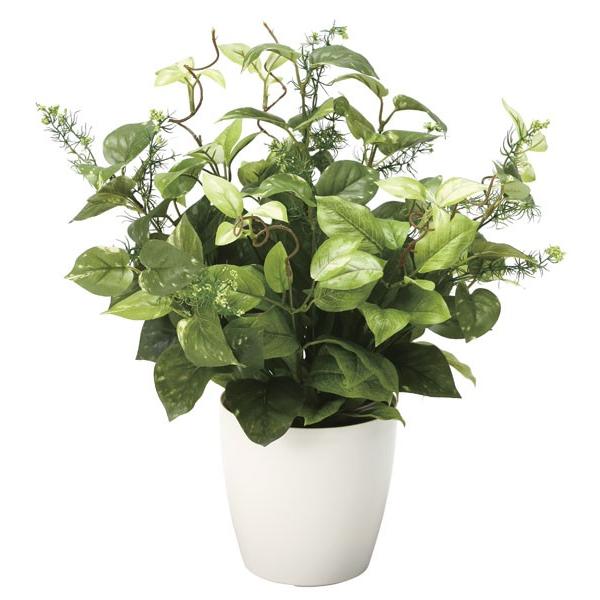 フェイクグリーン 人工観葉植物 光触媒 観葉植物 ミックスポトス