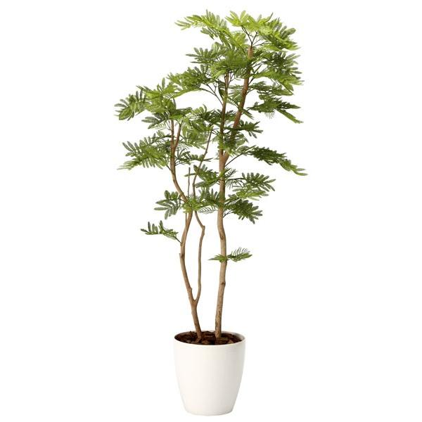 光触媒　人工観葉植物　ウォールグリーン　フェイクグリーン　ねむの木1.6m 光触媒 人工観葉植物 ウォールグリーン フェイクグリーン ねむの木1.6m