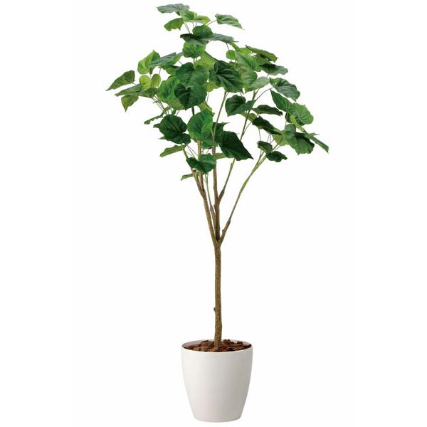 光触媒 人工観葉植物 大型 フィカスウンベラータ 1.7m 【インテリア 