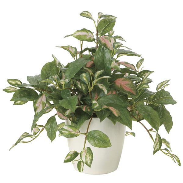 フェイクグリーン 人工観葉植物 インテリア 光触媒 観葉植物　ツートンホヤ 造花