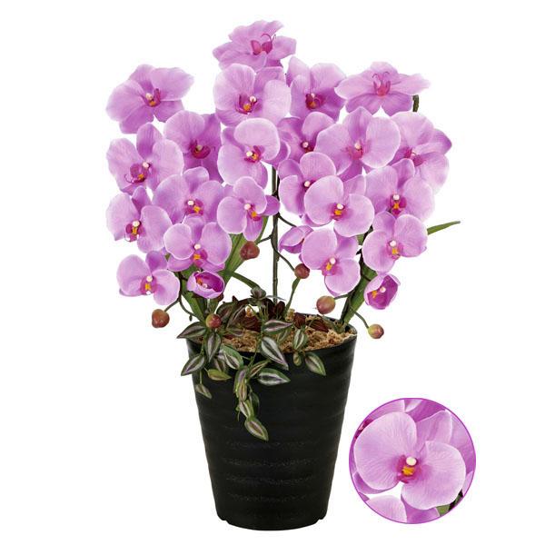 ■この商品は、営業日１３時までのご注文で当日出荷致します。【お届け日指定可能】※「立て札」または「メッセージカード」はサービスいたします。■お届けは出荷日の翌日です。ただし、北海道・九州・中国・四国地方は翌々日、沖縄は３日前後となります。【...