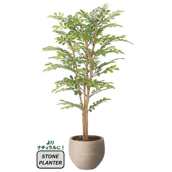 人工観葉植物 フェイクグリーン 光触媒 観葉植物 インテリア　ナチュラルライトトネリコ 1.1m リアル おしゃれ■商品サイズ：幅55cm 奥行55cm 高さ110cm、鉢：ストーンプランター（セメント製）、上部直径 25cm 高さ21cm...