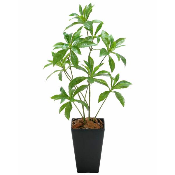 フェイクグリーン 人工観葉植物 インテリア リアル 光触媒 観葉植物 