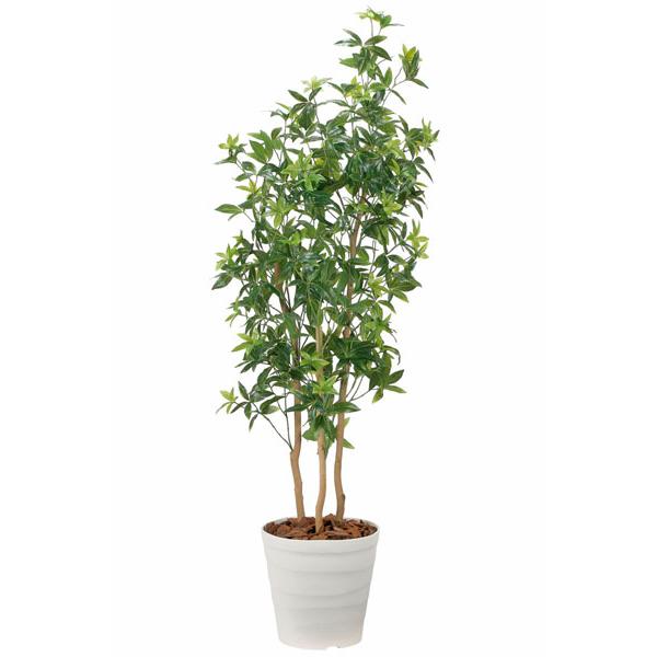 光触媒 人工観葉植物 フェイクグリーン フレッシュパーム 1.8m 【公式