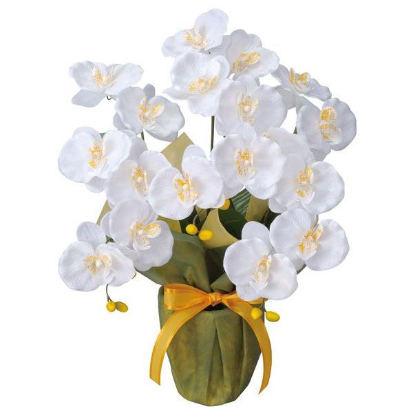 光触媒 胡蝶蘭 造花の胡蝶蘭 アートフラワー　ミディ胡蝶蘭Ｗ （あいさつ・御礼用）■商品サイズ：幅32cm 奥行35cm 高さ50cm■お部屋のアクセントや空間に彩りを添え、空気をキレイにするはたらきで、快適さとやすらぎの空間造りをお手伝い...
