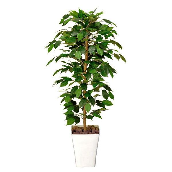 フェイクグリーン 人工観葉植物 光触媒 観葉植物 フィカス