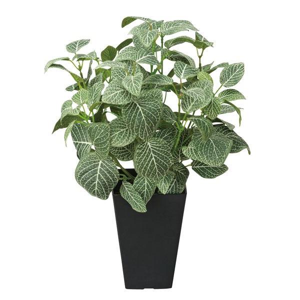 人工観葉植物 フェイクグリーン 光触媒 観葉植物　フィットニア（フロック加工 インテリア リアル おしゃれ）
