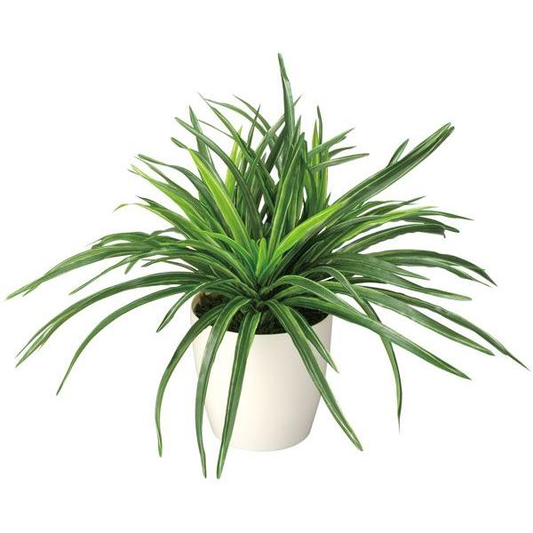 ドラセナ おしゃれ 光触媒 観葉 植物 人工観葉植物 フェイクグリーン