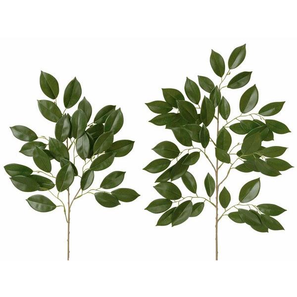  ԁA咆iG} lHj̊y@咆S{Zbgi2{E2{j