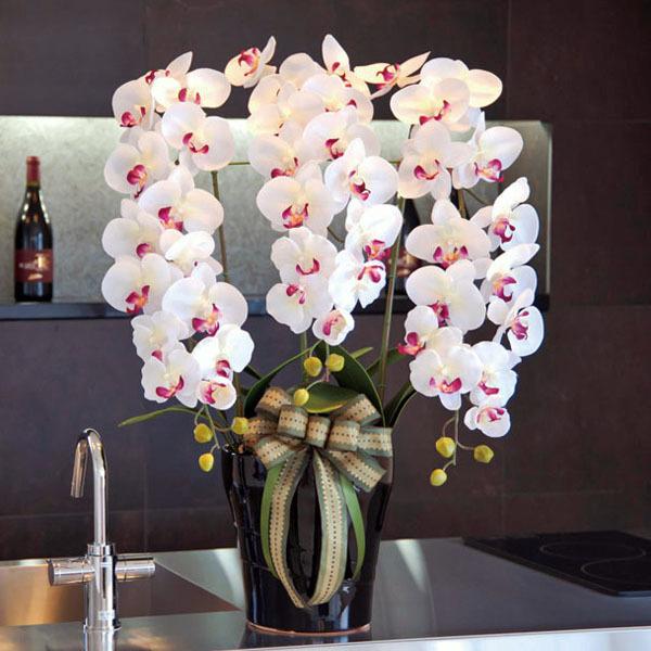 光触媒+胡蝶蘭 造花の人気商品・通販・価格比較 - 価格.com