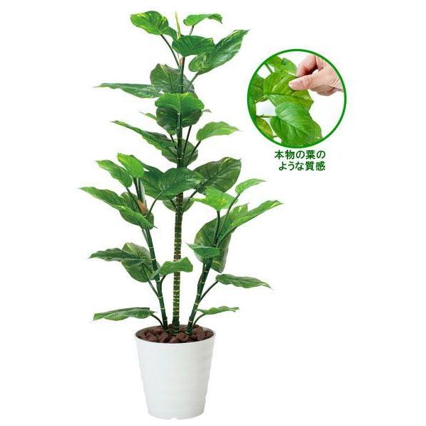 lHϗtA ^ tFCNO[ G} ϗtA tbV|gX1.5m CeA A 