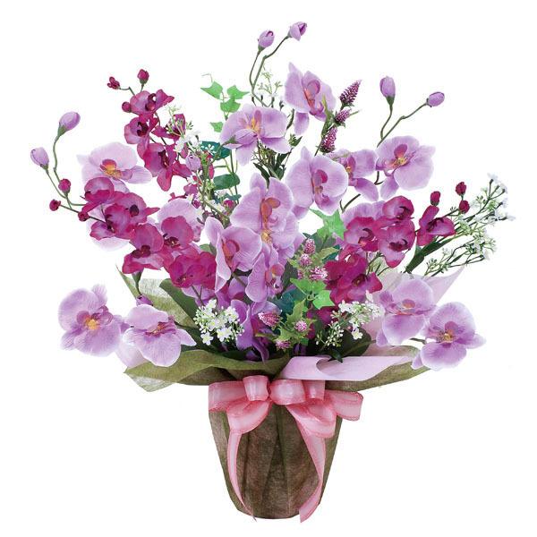 ■この商品は、営業日１３時までのご注文で当日出荷致します。【お届け日指定可能】※「立て札」または「メッセージカード」をご希望のお客様にはサービスいたします。商品のお届けは出荷日の翌日です。ただし、北海道・九州・中国・四国地方は翌々日、沖縄は...