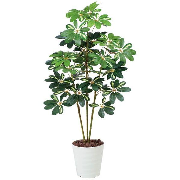 フェイクグリーン 光触媒 観葉植物（人工観葉植物）　カポック斑入り1.2m（インテリアグリーン）