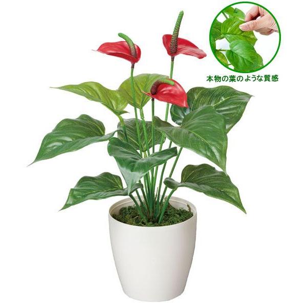 フェイクグリーン 人工観葉植物 インテリア 光触媒 観葉植物　フレッシュアンスリューム  リアル おしゃれ 造花 あすつく・条件付