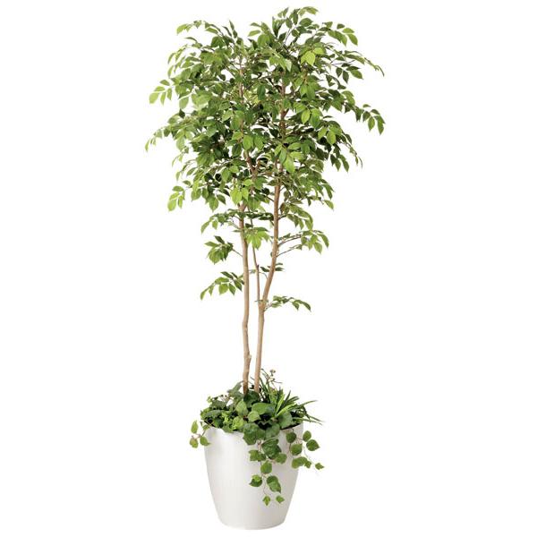 光触媒　人工観葉植物　フェイクグリーン　マウンテンアッシュ1.8m 光触媒 観葉植物 フェイクグリーン 人工観葉植物 大型 マウンテン