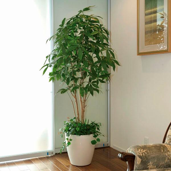 光触媒 観葉植物（人工観葉植物）、光の楽園 パキラ 1.8m 植栽付【インテリア・フェイク グリーン】