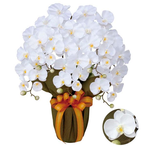 ■この商品は、営業日１３時までのご注文で当日出荷致します。【お届け日指定可能】※「立て札」または「メッセージカード」をご希望のお客様にはサービスいたします。■お届けは出荷日の翌日です。ただし、北海道・九州・中国・四国地方は翌々日、沖縄は３日...