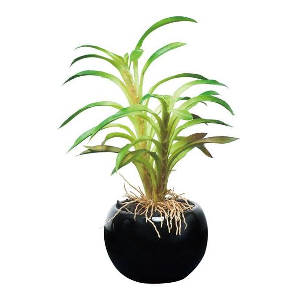 フェイクグリーン 人工観葉植物 光触媒 観葉植物 カクタスインポット 