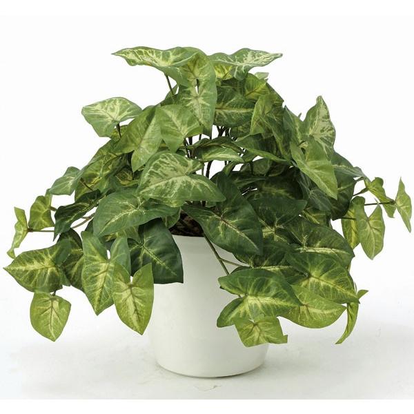 光触媒人工観葉植物 光の楽園 フレッシュカラージューム 643a50 46 光の楽園ショップ モントブレッテ 通販 Yahoo ショッピング