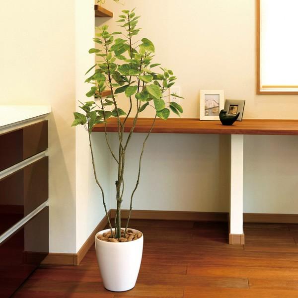 人工観葉植物 フェイクグリーン 光触媒 観葉植物 フィカス 人工観葉植物 フェイクグリーン 光触媒 観葉植物 フィカス