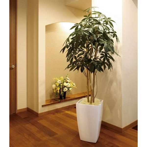 フェイクグリーン ナチュラルパキラ1.8 高さ1.8m 光の楽園