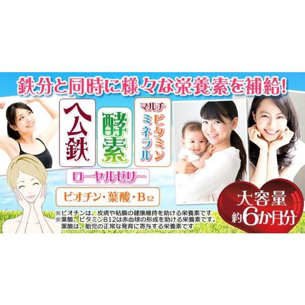 輝く笑顔 ヘム鉄プラス 栄養機能食品(ビオチン、葉酸、ビタミンB12) 360粒 約6か月分 送料無料(ヤマトネコポス・ポスト投函・日時指定不可) サプリメント /【Buyee】 輝く笑顔 ヘム鉄プラス 栄養機能食品(ビオチン、葉酸、ビタミンB12) 360粒 約6か月分 送料無料(ヤマトネコポス・ポスト投函・日時指定不可) サプリメント /【Buyee】