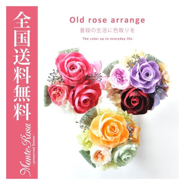 プリザーブドフラワー プリザ プリザーブド ドライ ブリザードフラワー インテリア 枯れない花 お花 送料無料 Buyee 日本代购平台 产品购物网站大全 Buyee一站式代购 Bot Online