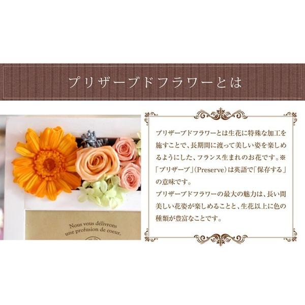フォトフレーム 送料無料 プリザーブドフラワー 花 ブリザードフラワー プレゼント 枯れない 家具 インテリア ボックス 写真立て19個セット ボックス ラッピング プレゼント 写真