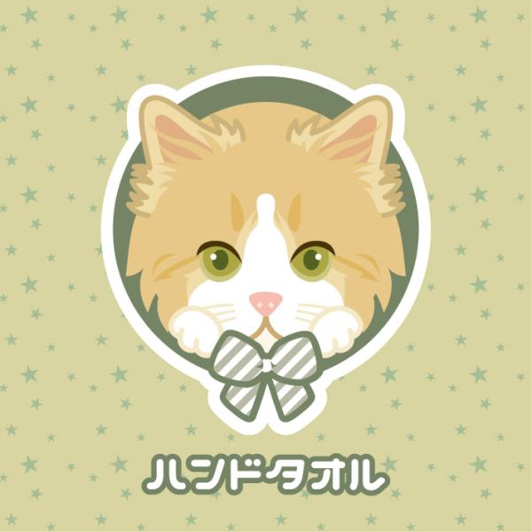 ハンドタオル ラガマフィン 猫 かわいい ハンカチ 動物 おしゃれ プレゼント ペット