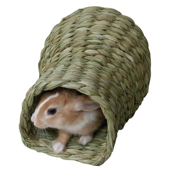 川井 あなうさぎ Lサイズ 返品区分b 穴うさぎ Buyee Buyee Japanese Proxy Service Buy From Japan Bot Online