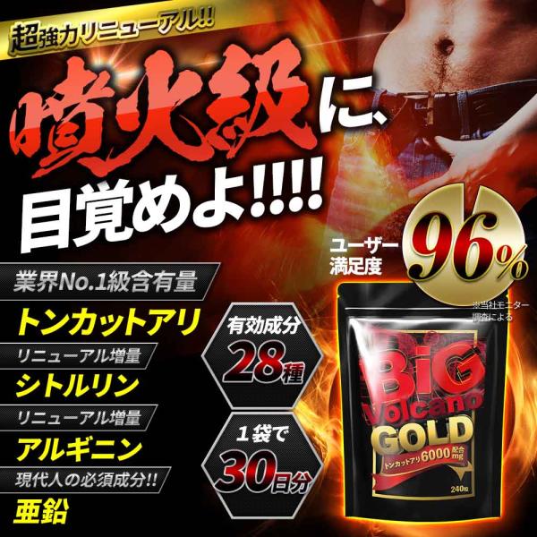 【Lineギフト用】トンカットアリ6000mg配合 Lシトルリン サプリ Lアルギニン 亜鉛 自信増大 持続 持久力 ビッグボルケーノGOLD 妊活 女性