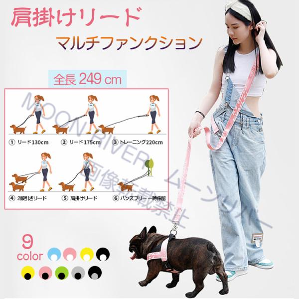 moonriver_pet2018