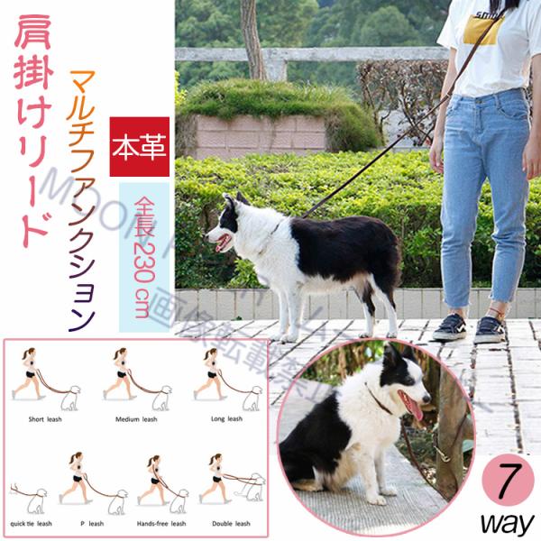 moonriver_pet2020