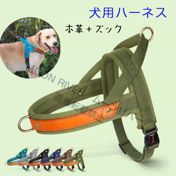 犬 胴輪 ハーネス 本革レザー ズック 夏用 軽量 おしゃれ おすすめ
