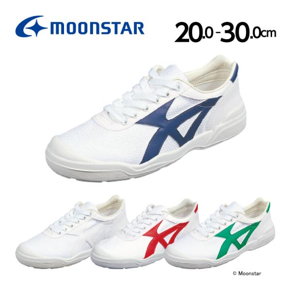 [X^[ 㗚 qC { RۖhL oCILT 04 (20.0cm-30.0cm) 2E C  ʐ w moonstar wZpi