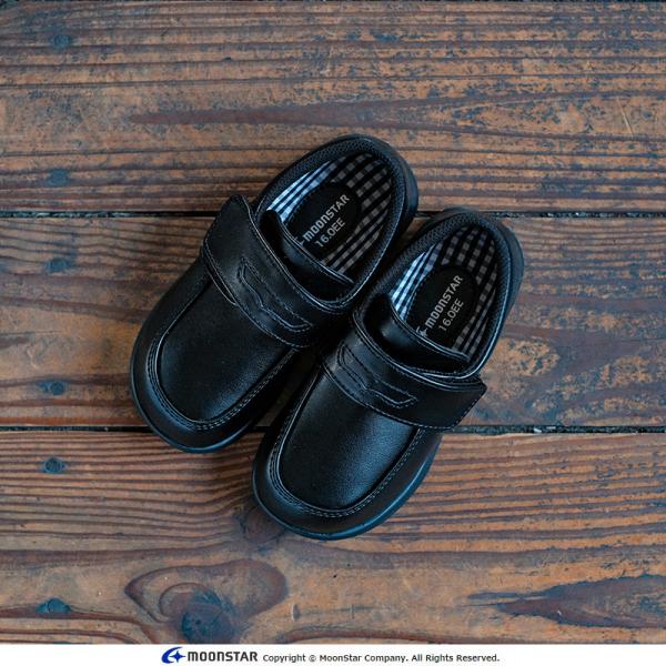 moonstar_12172536_1_d_20230929153459