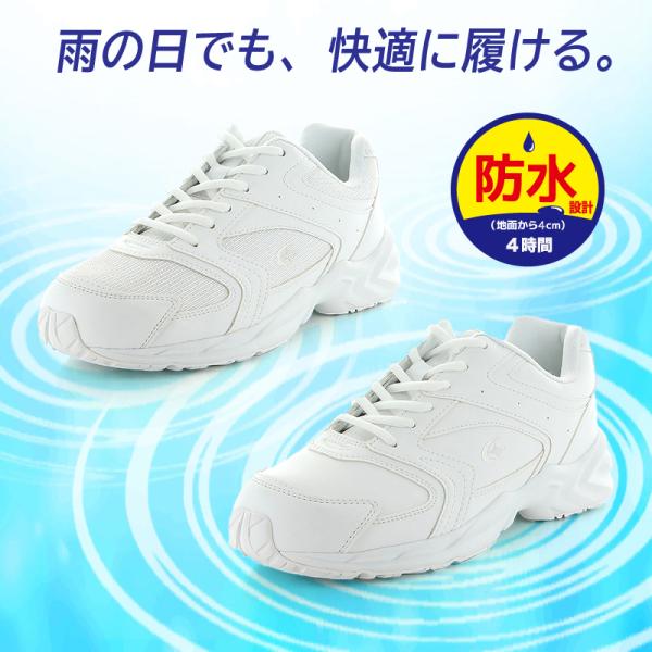 moonstar_12321658_3_d_20250801142446