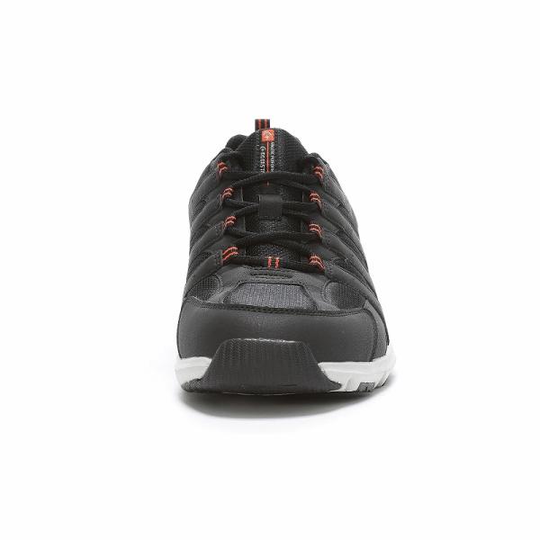 moonstar_12323956_2_d_20240731163946