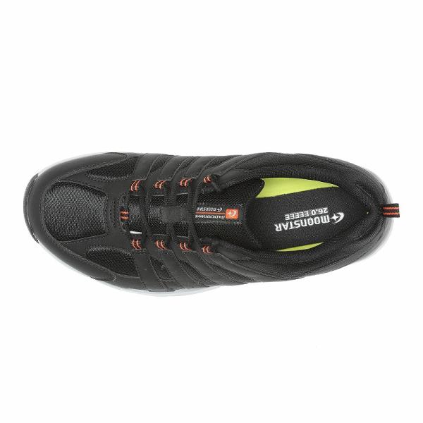 moonstar_12323956_5_d_20240731163947